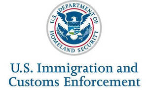 Carousel image 82cfc1aa63728a6148e0 20 0925 seal ice 500