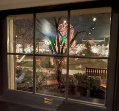 Carousel image ab77ea02856b0e5fbe9c 2024 tree from triumph