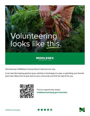 Carousel image cf1576e96484dcfc9a7b 2026 psal2 volunteering flyer 8.5x11 b page 001