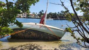 Carousel image clone 1700109 9faae624584bfa20b6e4 20260211 114042