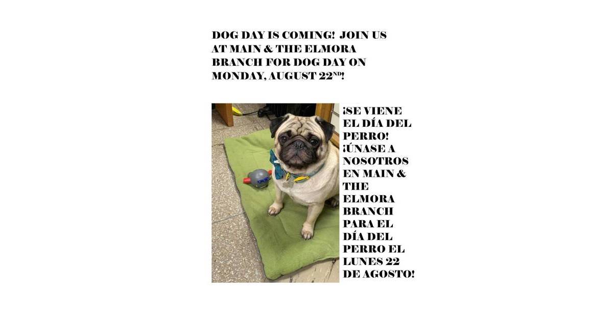 Elizabeth Public Library’s Main Branch and Elmora Branch to Be Filled