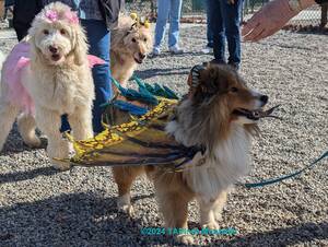 Carousel image 8aee59a17cb3dab98e68 2