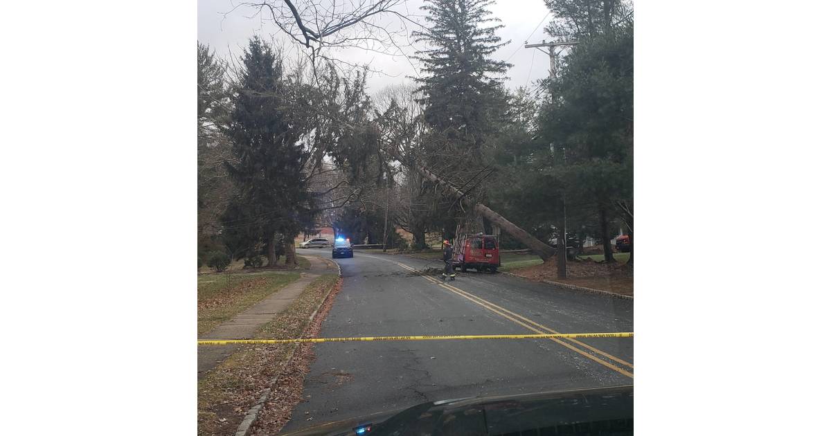 Power Outage Caused by Downed Tree on Murray Hill Boulevard Restored