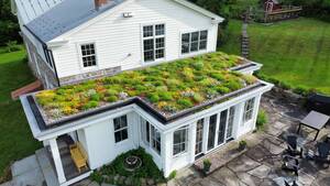 Carousel image 021df5b642a446eb21aa 33 25news green roofs photo 1 