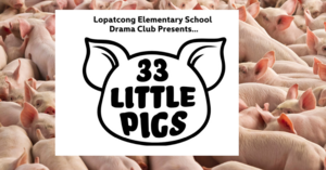 Carousel image 13465417eebce39b42dd 33littlepigs lopatcong