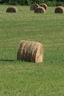Carousel image 9ac2a011b3f5b3512439 33 24 woods hay bales scaled