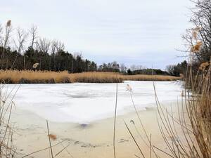 Carousel image f37497d9c6d6bae669c7 3 31 wild reverie pic 1