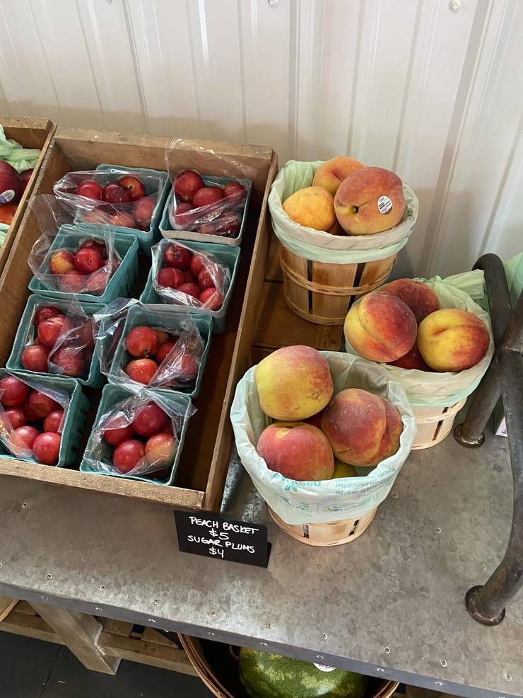 Oak Hill Farms A Grand Country Style Store and More, Opens in Holmdel