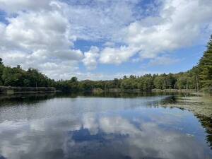 Carousel image f88663b2e8d42bc310c0 38 25news clc forest 