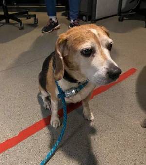 Carousel_image_c94446f9767c8d2f2c2b_3rd_time