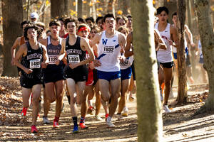 Carousel image 437d42be3f98f14afd20 446a6979