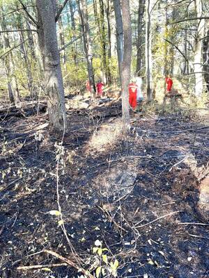 Carousel image 5d41b6c76774b53df639 44 24blot copake brush fire