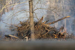 Carousel image 3c8ea0c2e1c888aea97c 46 24col woods fire  scaled