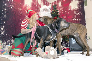 Carousel image baf6ca097b8f6dfab5ac 47 25news front page photo humane society santa