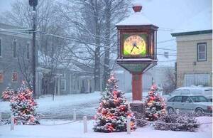 Carousel image 2da68e1610e041ba20dc 48 25comm copake adopt a tree