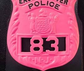 East Hanover/Florham Park, NJ Police & Fire | TAPinto