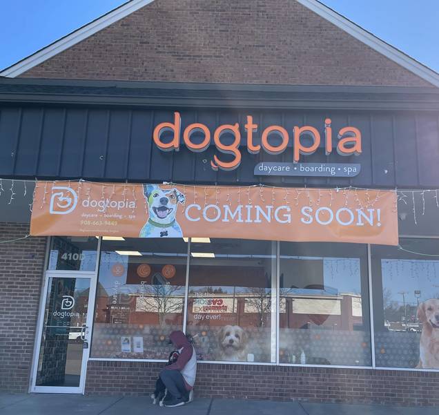 How Much Does A Dogtopia Franchise Cost