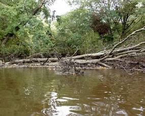 Carousel image 1b6a82e3cbbffa42cce3 6210766887 9c6631ec0c z