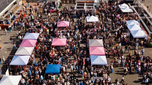 Carousel image 077e28e89c19fd8552b1 643776291 122155941764955113 915813889958081296 n