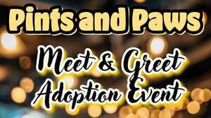 Carousel image 6d771cfc9ffdd6b090a8 647982548 1362292592597426 2523193984289343240 n