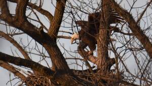 Carousel image 948568e47faec52d4239 643860497 1299357098909803 8281168857099770020 n
