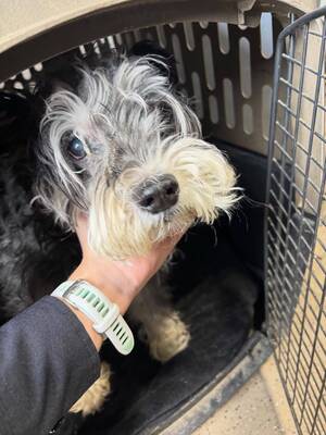 Carousel image 57dd7c770dd05896b199 653073072 18327440821223069 6043053237434496792 n