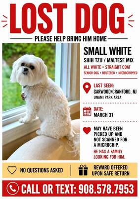 Carousel image 6da3f4516a1c8abfb311 671232213 3878565239116427 1508453145358865877 n