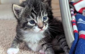 Carousel image 77ec72cd181c741a826d 671711937 1451574833681427 723706431759065791 n