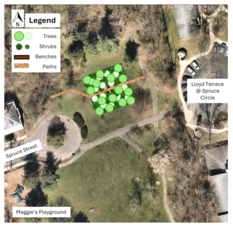 Carousel image 6cb8e8a3d40e24fd54f7 8 31 25 quarry park micro forest