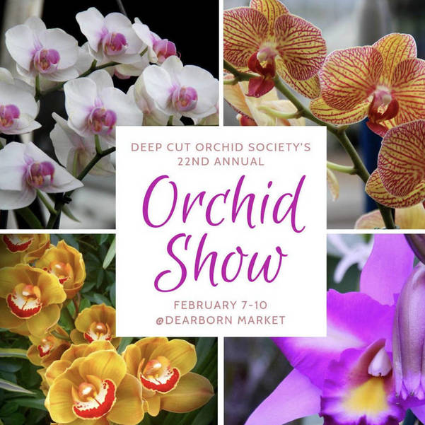22nd Annual Deep Cut Society S Orchid Show Dearborn Market Hosts Painting With A Twist Tapinto
