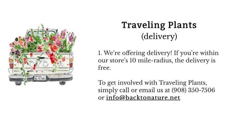 Back To Nature Home And Garden Center Open For Pick Me Ups And