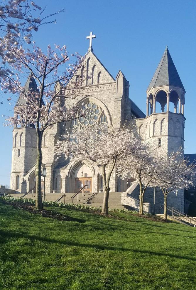 St Teresa of Avila Announces Directives for Church Reopening TAPinto