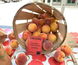Carousel image dc0f696921aa80ccfc5e 9 5 25 peaches from terhune