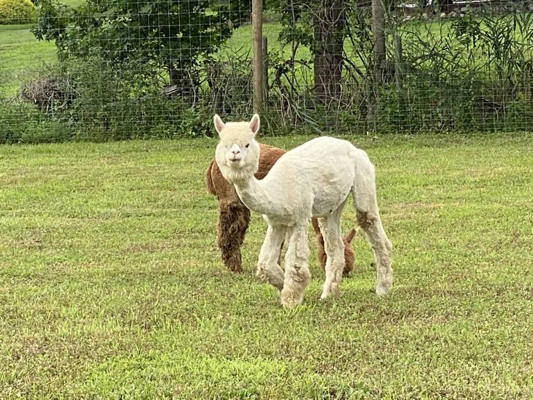Oak Hill Farms A Grand Country Style Store and More, Opens in Holmdel