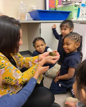 Carousel image 6a4d75e7356d3dd59cb9  photo  elc report shows preschool enrollment down in camden 