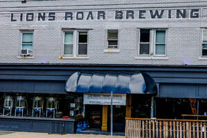 Carousel image 383211 ion s oar rewing