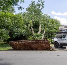 Carousel image 6a6958 westfield storm