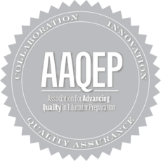 Carousel image 5bf82aaafe530267f40a aaqep seal