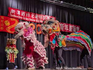 Carousel image a706dd9ed1bfc863928c aaa the lion dance