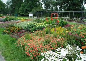 Carousel image dae50e1c424773cf3345 aas trial garden at boerner botanical gardens photo credit melinda myers