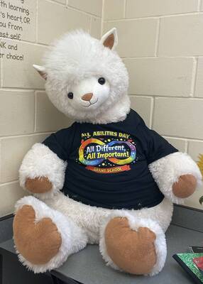 Carousel image c0515f1517f79a1fe18f abilitescover