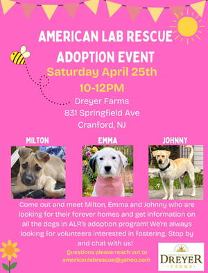 Carousel image 7239d69ebbbecc3e715c alr event