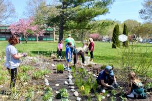 Carousel image ead3aa97c024cd3a607a alexander es rain garden 1
