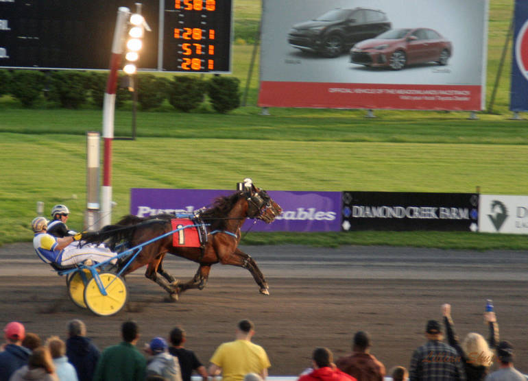 Amateur Drivers Love The Thrill Of Harness Racing News Tapinto