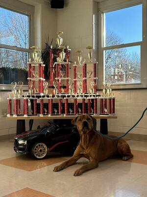 Carousel image 1435a1329479d83d8f30 animal shelter car show promo