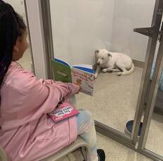 Carousel image 30bb2b2fd9e2d83196e6 animal shelter read to animals mount laurel class 1