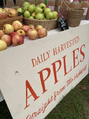 Carousel image cc6a9e933dafd6c2a5f1 apple appreciation day promo 5