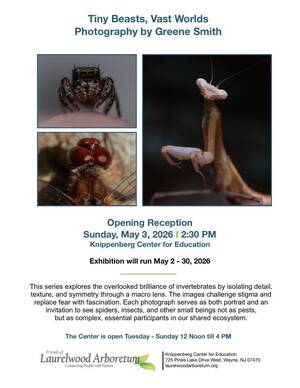 Carousel image d8c62ecdb04e4c3c9a5b art exhibit may