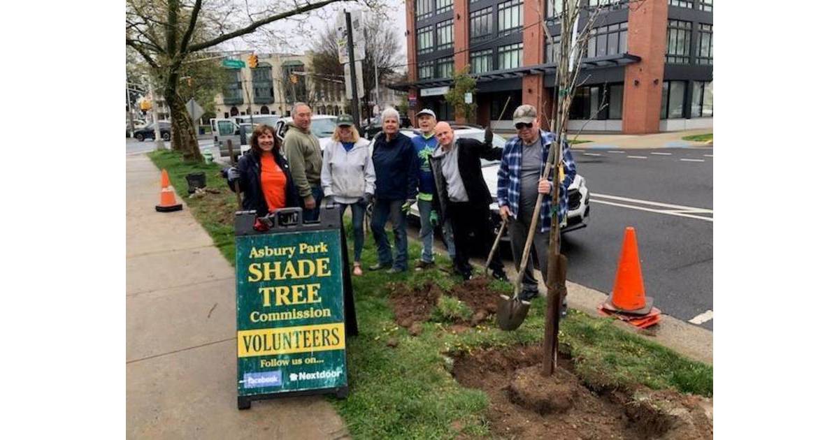 Arbor Day Initiative Aims to Revitalize Grand Avenue with New Trees