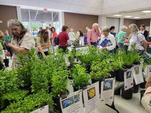Carousel image 147507487f2a1926b08c attendees view plants at the florida friendly landscaping seminar